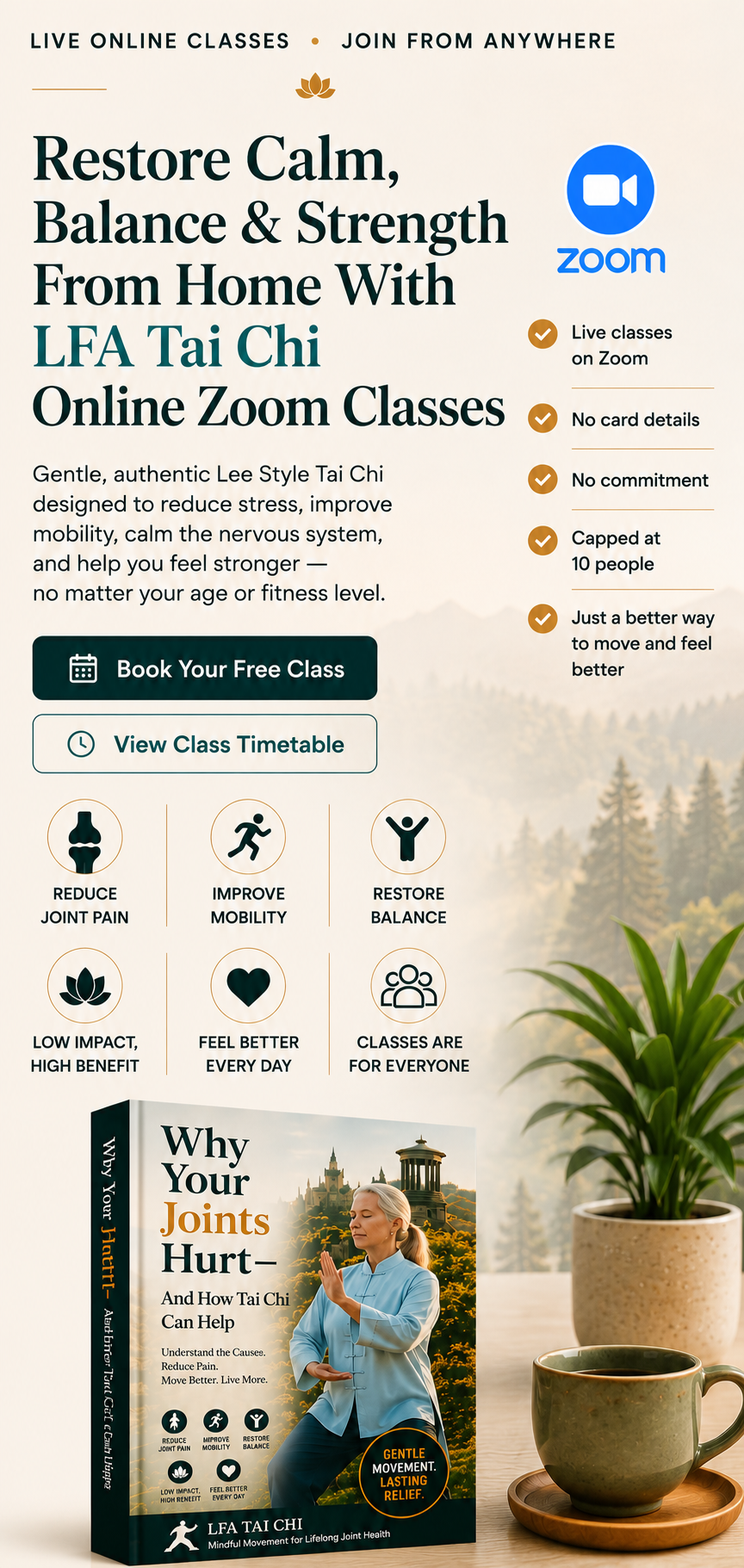 Online Tai Chi Classes